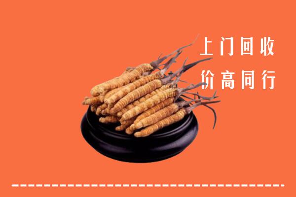 鹰潭市回收冬虫夏草